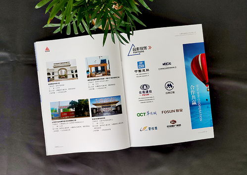 昆明企業(yè)宣傳畫冊設計 產(chǎn)品宣傳手冊制作 公司畫冊定制